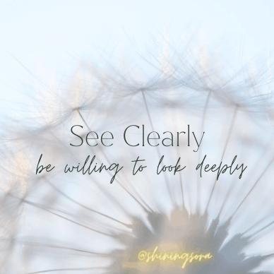 dandelion with phrase "see clearly be willing to look deeply"